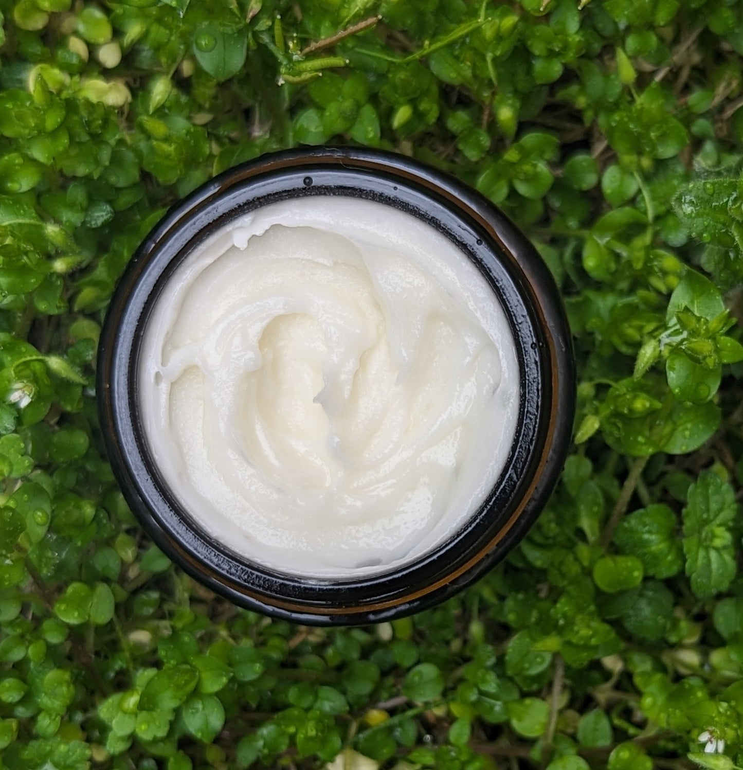 Tallow Balm